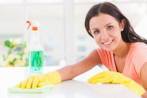 Carpet cleaning appointment and service booking terms