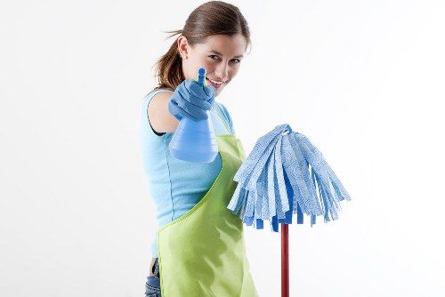 Professional sofa cleaning in Belmont for a fresh living room