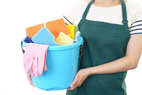 Professional carpet care and restoration service by Belmont Carpet Cleaners