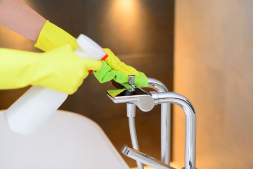 Cleaning tools and enzyme treatment for pet odours in Belmont