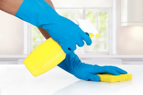 Deep cleaning a sofa with safe methods in Belmont
