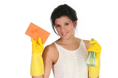 Accepted payment methods for Belmont Carpet Cleaners including card and PayPal