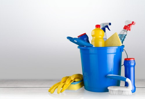 Illustration of accessible website features for Belmont Carpet Cleaners