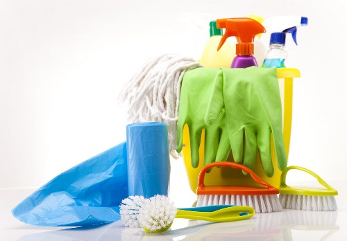 Upholstery cleaning for pet stain odour removal in Belmont