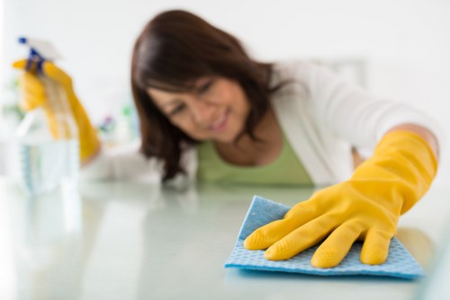 Detailed rug care and maintenance for homes in Belmont