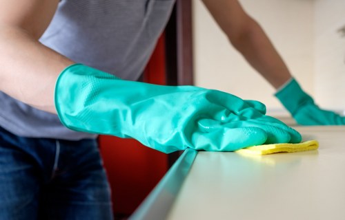Close-up of upholstery being deep cleaned in Belmont