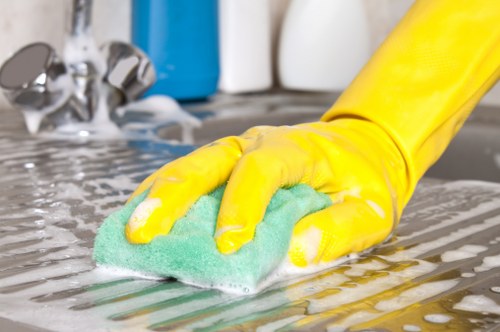 Professional Belmont carpet cleaning for a fresh indoor environment