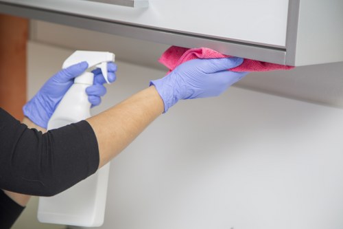 Professional stain removal methods for fabrics and carpets